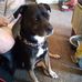 Mandy Clinton - Facebook