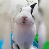 Cloud Mandy - @cloudmandy - TikTok