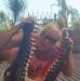 Mandy Cloud - Facebook