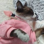 Mandy_Cloud_ - @mandy_cloud_ - Instagram