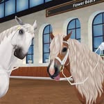 mandycloverbridge - @mandy.cloverbridge - Instagram