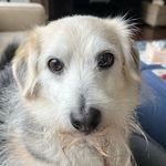 Mandy - @mandy_coates - Instagram