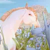 Mandy Coetzee932 - @ssoplayir - TikTok