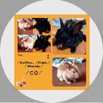 Fuki, Coffee & Mandy 🐰🐰🐰🐰 - @fuki.coffee.mandy.nicki - Instagram
