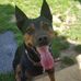 Mandy Coker - Facebook