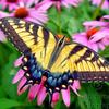 Mandy Colbert257 - @user1075635099501 - TikTok