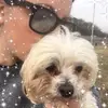 Mandy Coleman881 - @mandycoleman0223 - TikTok
