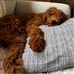 Mandy Coleman - Facebook