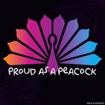 Amanda Connelly - @xtreme.hiphop.uk.with.peacock - Instagram