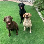 Mandy Connelly - @bathroom_streetparking - Instagram