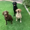 mandyconnelly96 - @mandyconnelly96 - TikTok