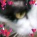 Mandy Connolly - Facebook