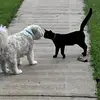 mandyconnolly69 - @mandyconnolly69 - TikTok