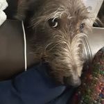 Mandy Constable - @mandy_constable - Instagram