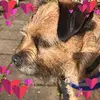 Mandy Conway - @mandyconway1 - TikTok