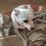 Mandy Cooley - @kermit5743 - Instagram