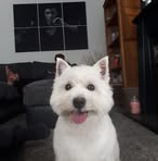 Mandy Corrigan - Facebook