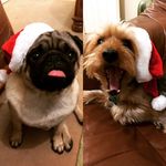 Mandy Corrigan - @corriganmandy - Instagram