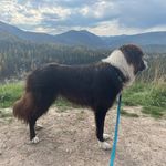Mandy Craven - @mcraven91 - Instagram