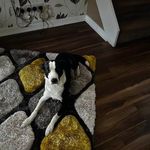 Mandy Moodie Shannon Dempsey - @dempseymandy - Instagram