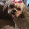 Mandy Dennis365 - @mandydennis365 - TikTok