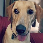 Mandy Dennis - @dydnam - Instagram