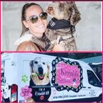 Amanda Dillon ☘️ 🧚‍♀️ - @irishk9toothfairy - Instagram