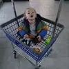 Mandy Dixon - @mandy.dixon32 - TikTok