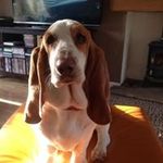 Mandy Dixon - @mandydixon5356 - Instagram