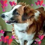 Mandy Dixon - @mandy.dixon.984 - Instagram