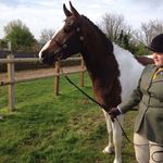 Mandy Dodge - @mandy.dodge - Instagram