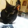 Mandy Dotson - @mandy.dotson - TikTok