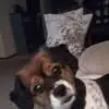 mandydotson1 - @mandy.dotson2 - TikTok