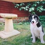 Mandy Dowling - @dowling4274 - Instagram