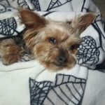 drews mandy - @drewsmandy - Instagram
