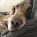 Mandy Drews - Facebook