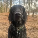 Mandy Drews - @mandy.drews.395 - Instagram