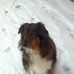 Mandy Drews - Facebook
