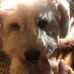 Mandy Driscoll - Facebook