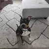 mandy Dukes - @mandy.dukee - TikTok
