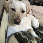 Mandy Dunne - @mandyd1229 - Instagram