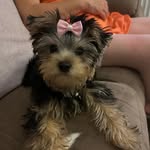 Mandy Eagle - @mandy_eagle66 - Instagram