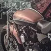 mandyebert858 - @mandyebert858 - TikTok