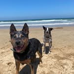 Mandy Eddy - @mandy.eddy - Instagram