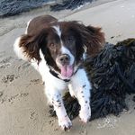 Mandy Ellis - @mandy.ellis.75 - Instagram