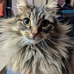 Mandy Ellison - @mandz2322 - Instagram