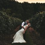 Amanda Ellsworth - @mrse823 - Instagram