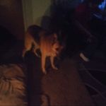Amanda Emerick - @emerick4580 - Instagram