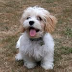 Mandy Emery - @mandles1960 - Instagram