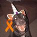 Mindy Ekblom Schrubb - Facebook